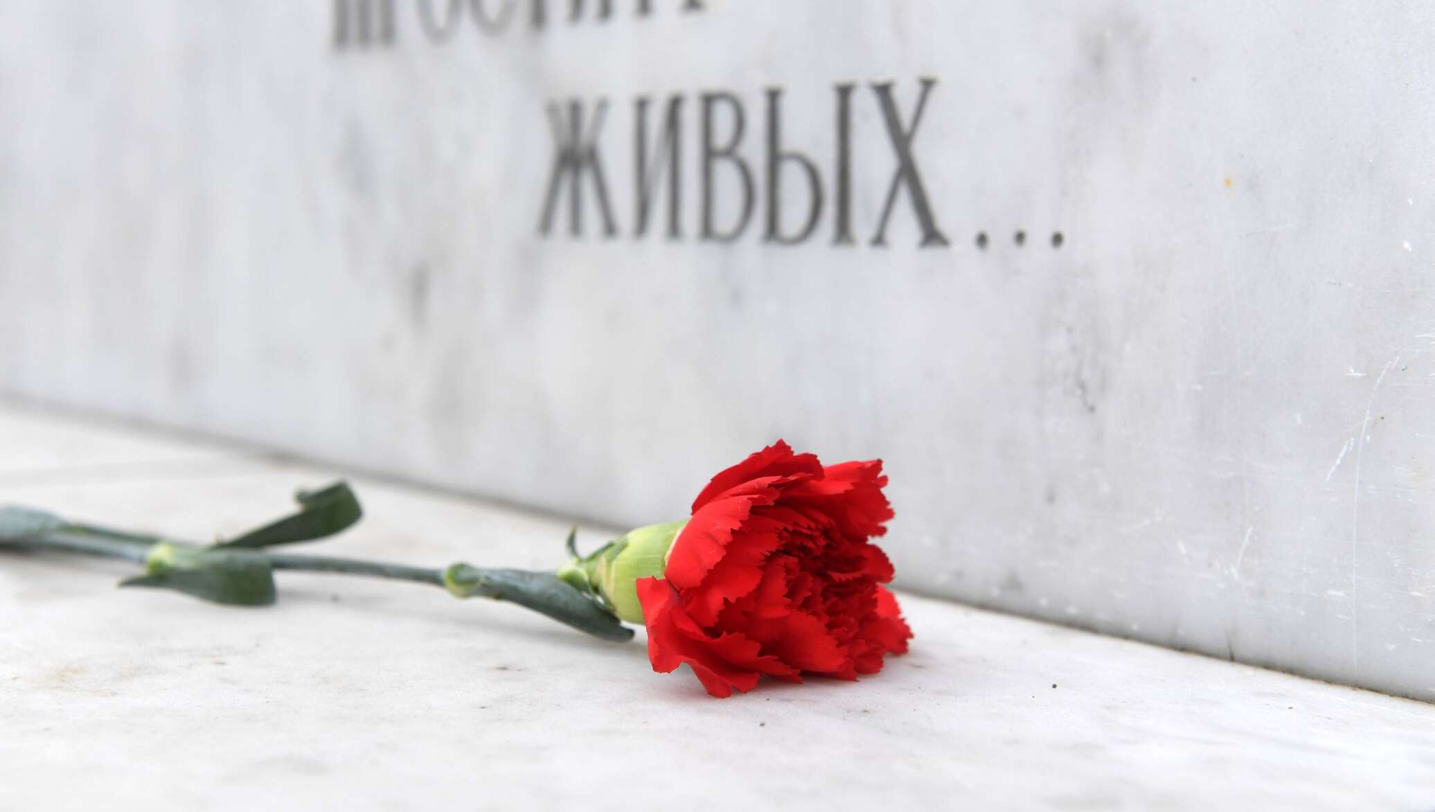В России установлена памятная доска казахстанцу Дусембаю Кавкаеву, погибшему в 1941 году